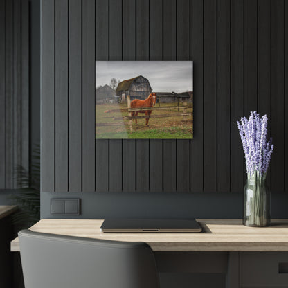 U R There Photography South Summers Road Old Grey and Caramel IV Rustic Farmhouse Acrylic Wall Print
