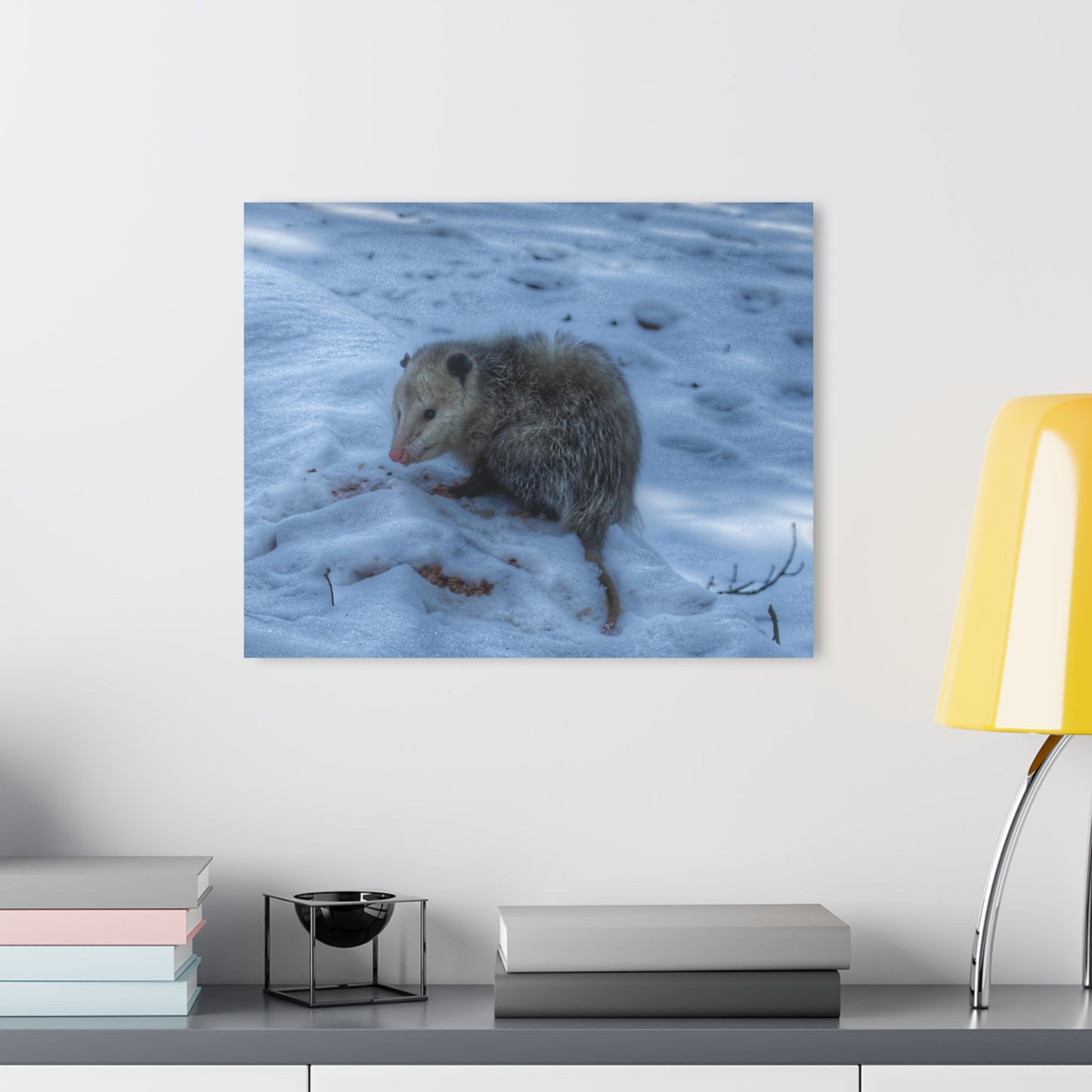 U R There Photography Sutton Road Possum Rustic Farmhouse Acrylic Wall Print