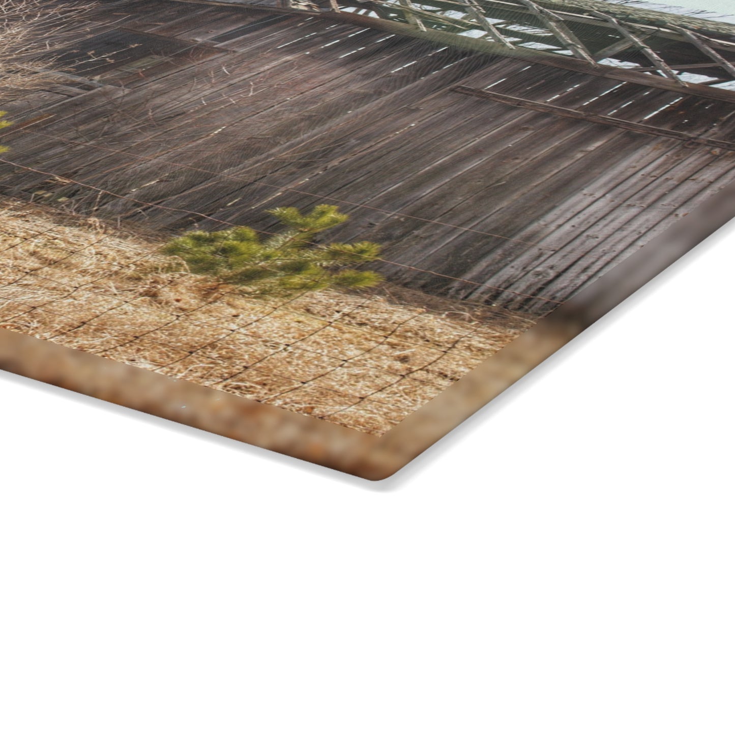 U R There Photography Leix Road Forgotten Grey II Rustic Farmhouse Tempered-Glass Cutting Board