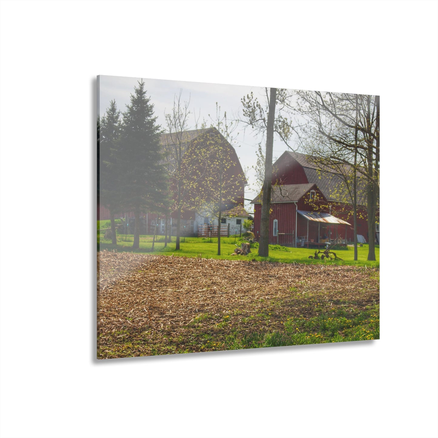 U R There Photography Bishop Road Reds III Rustic Farmhouse Acrylic Wall Print