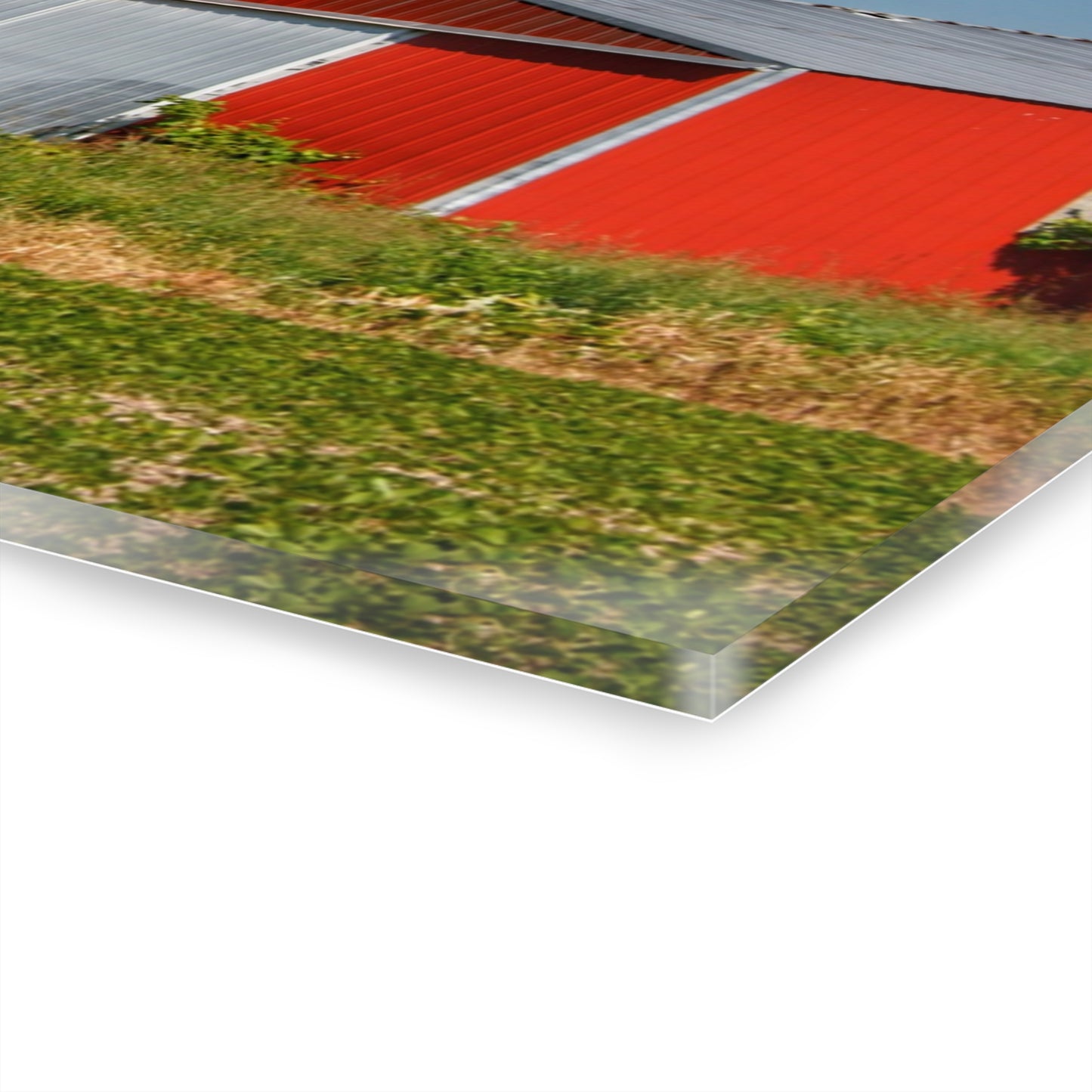 U R There Photography Greenwood Road Red I Rustic Farmhouse Acrylic Wall Print