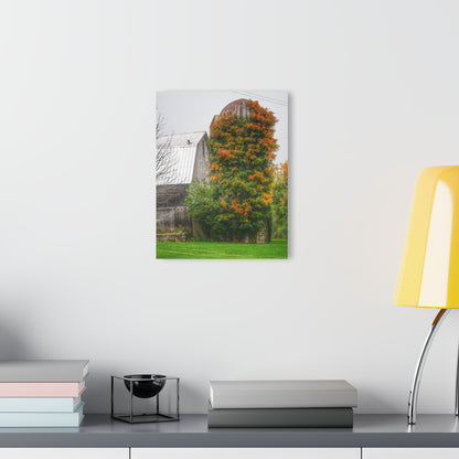 U R There Photography Ludwig Road Oxford Grey and Silo Rustic Farmhouse Acrylic Wall Print