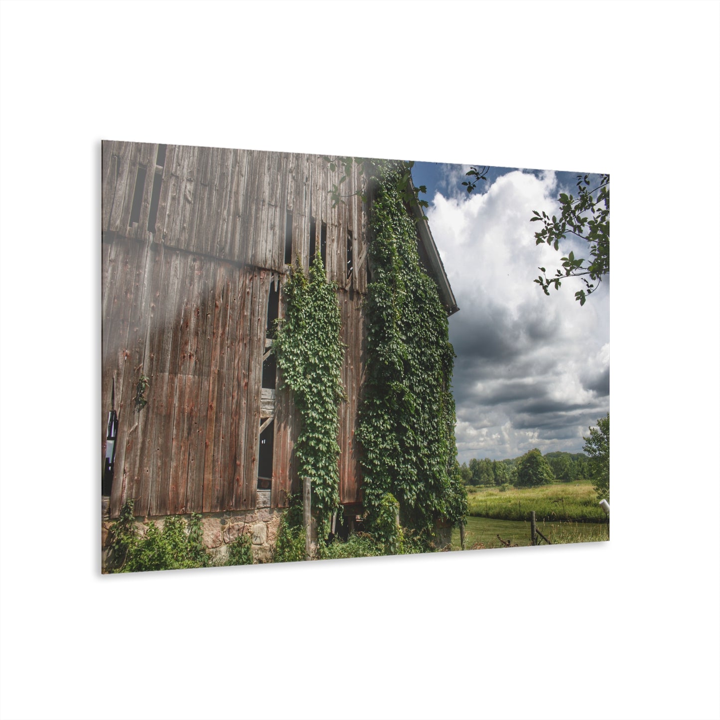 U R There Photography North Branch Ivy Grey II Rustic Farmhouse Acrylic Wall Print