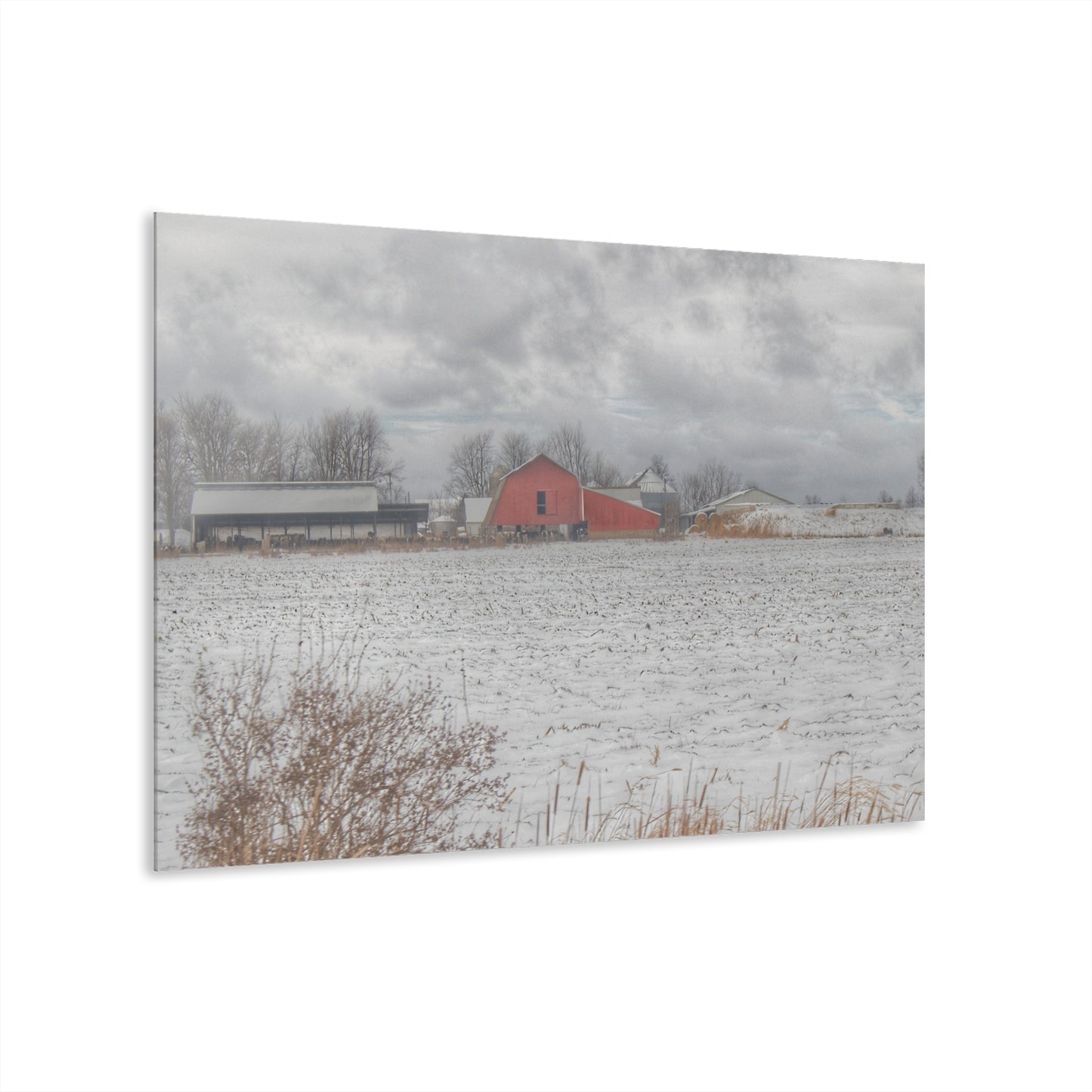 U R There Photography Maple Valley Road Red II Rustic Farmhouse Acrylic Wall Print