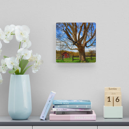 U R There Photography Delano Oak and Little Red Rustic Farmhouse Acrylic Analog Wall Clock