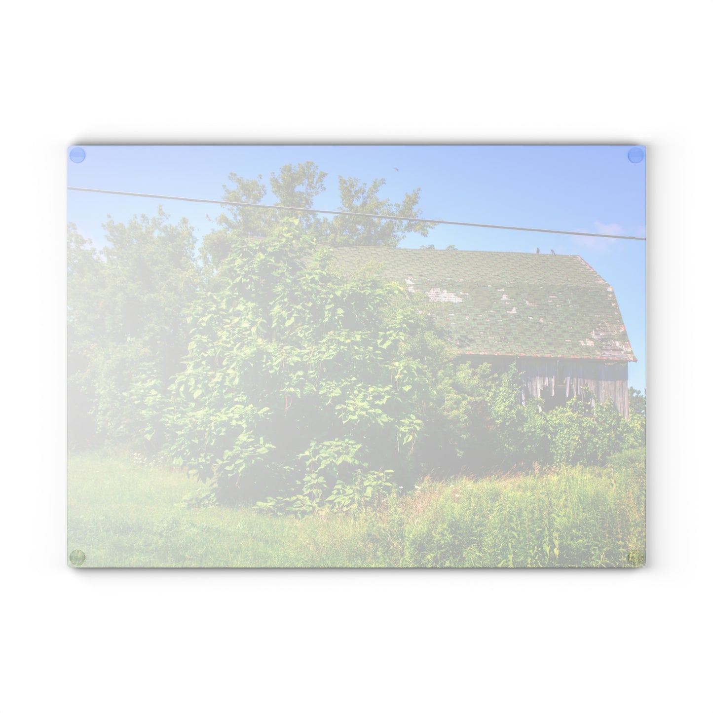 U R There Photography Hidden Grey of Hunters Creek Rustic Farmhouse Tempered-Glass Cutting Board