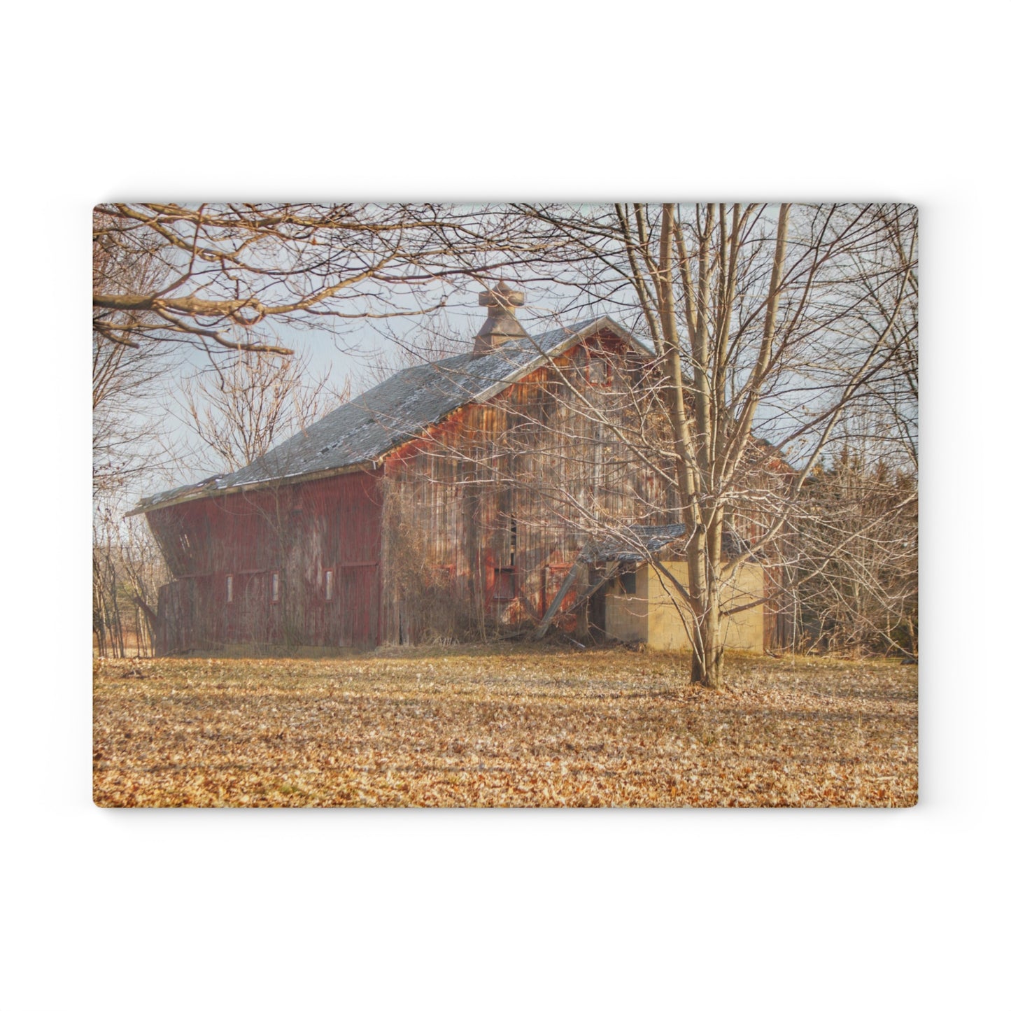 U R There Photography Millington Road Collapsing Red Rustic Farmhouse Tempered-Glass Cutting Board