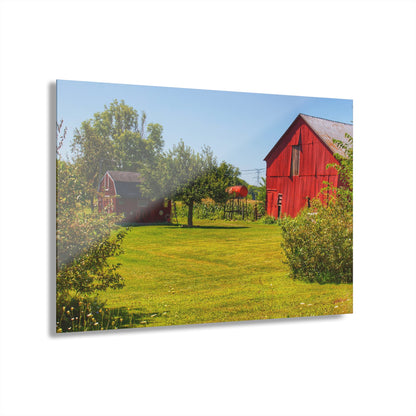 U R There Photography East Farrand Reds Rustic Farmhouse Acrylic Wall Print