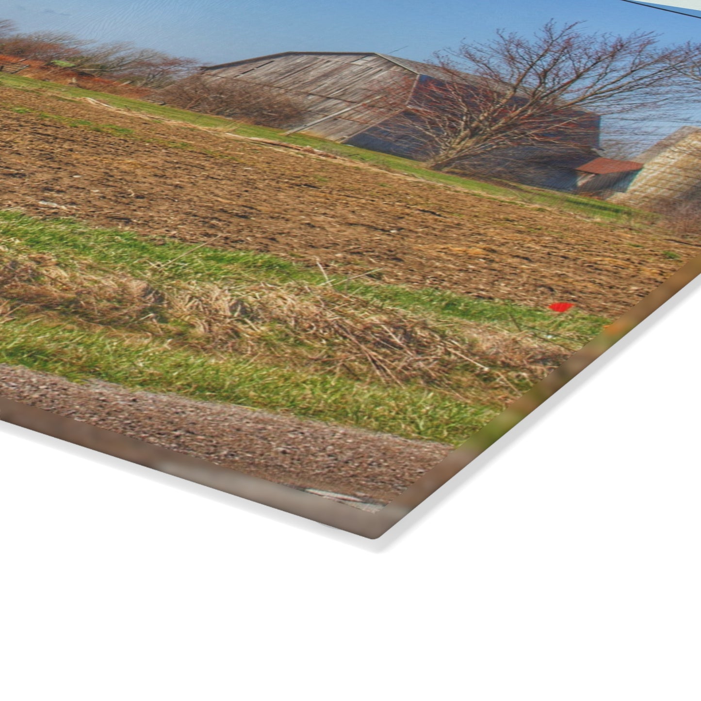 U R There Photography Stanley Road Greys Rustic Farmhouse Tempered-Glass Cutting Board