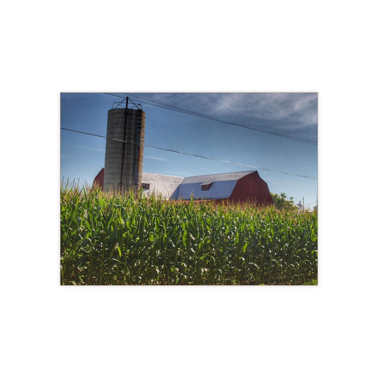 U R There Photography Above the Corn on Tuscola Road Rustic Farmhouse Decorative Ceramic Tile