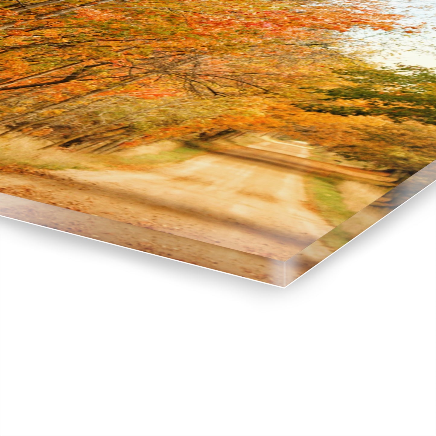 U R There Photography Fall on Murphy Lake II Rustic Farmhouse Acrylic Wall Print