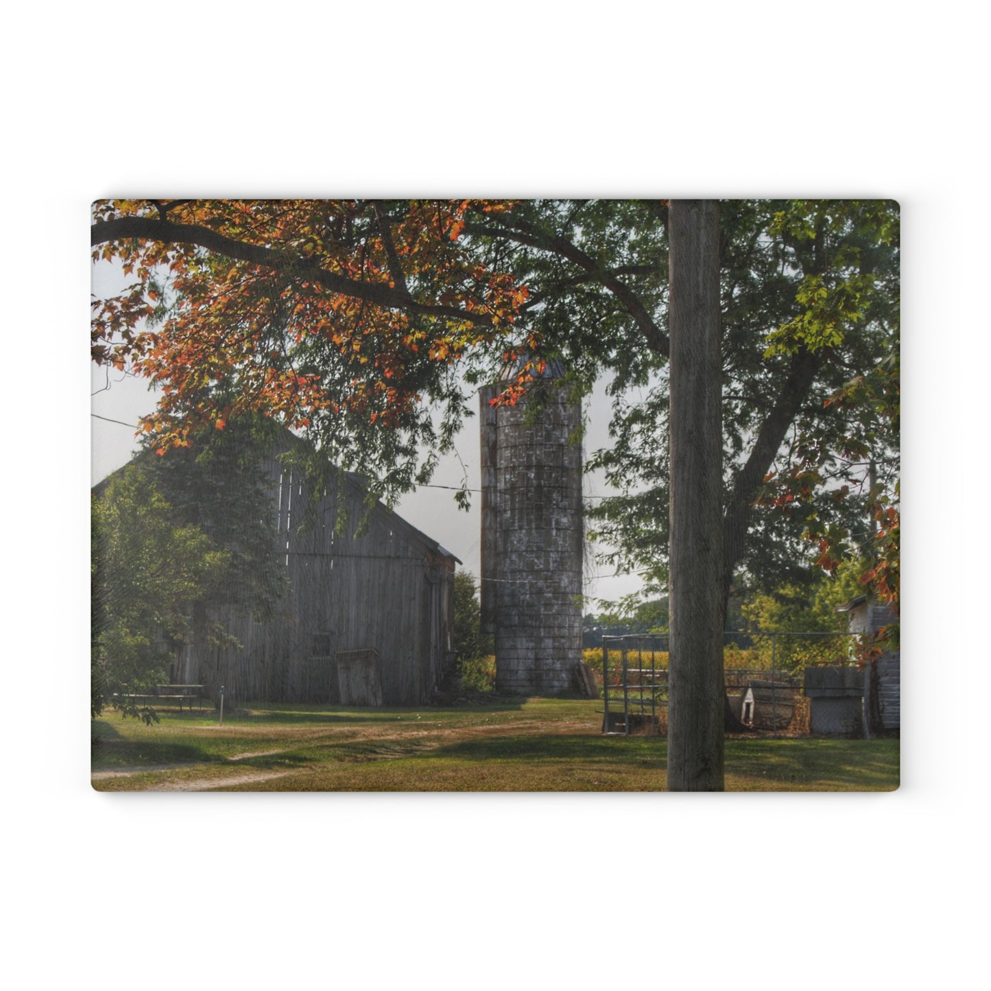 U R There Photography Hidden Grey of Tuscola Rustic Farmhouse Tempered-Glass Cutting Board