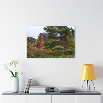 U R There Photography Green Corners Road Hidden Red Rustic Farmhouse Acrylic Wall Print