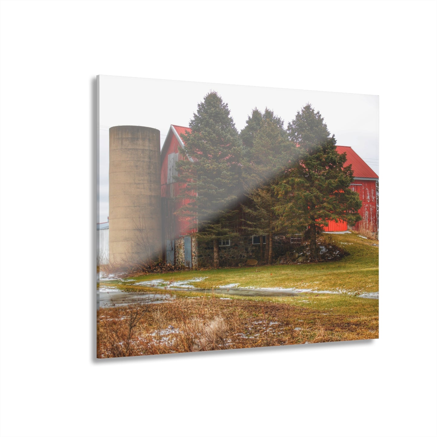U R There Photography Laur Road Red Among the Pines III Rustic Farmhouse Acrylic Wall Print