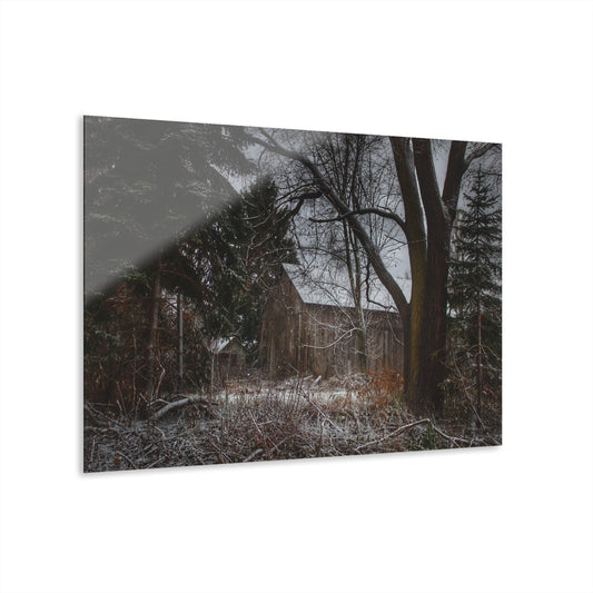 U R There Photography Willard Road Hidden Grey Rustic Farmhouse Acrylic Wall Print
