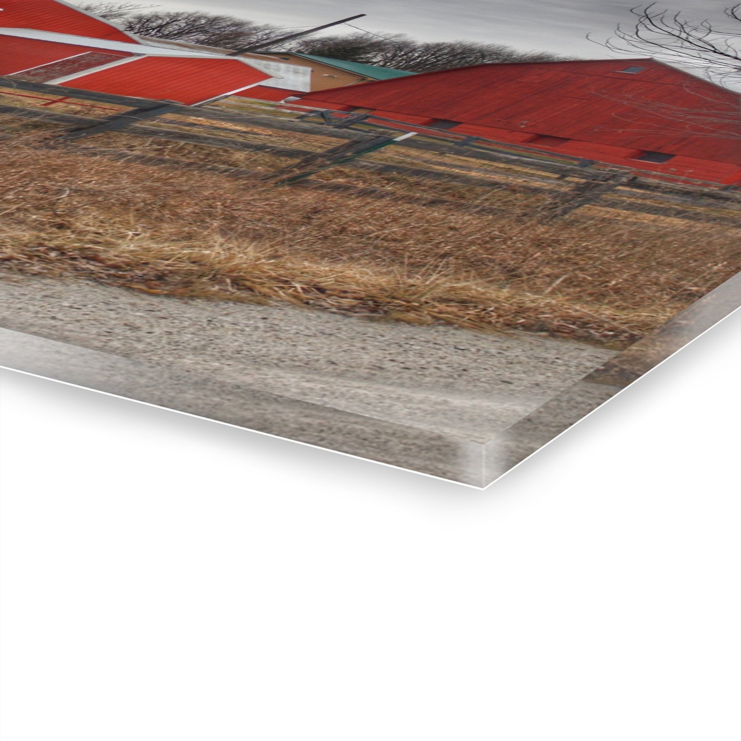 U R There Photography January Reds Rustic Farmhouse Acrylic Wall Print