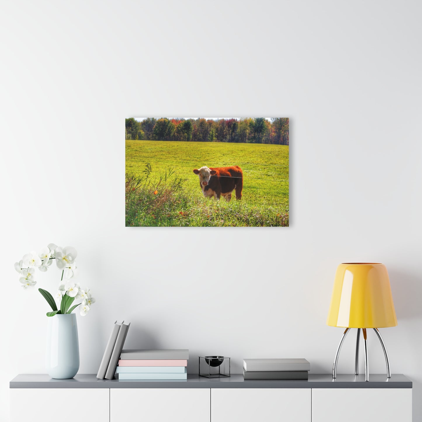 Barn Boutique Modern Farmhouse Acrylic Wall Print| Curry Road Cow