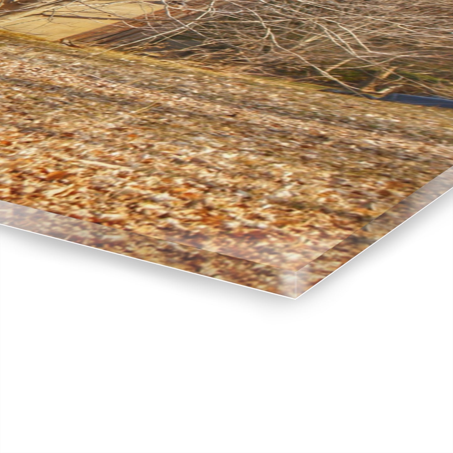 U R There Photography Millington Road Collapsing Red Rustic Farmhouse Acrylic Wall Print