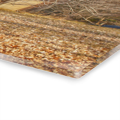 U R There Photography Millington Road Collapsing Red Rustic Farmhouse Acrylic Wall Print