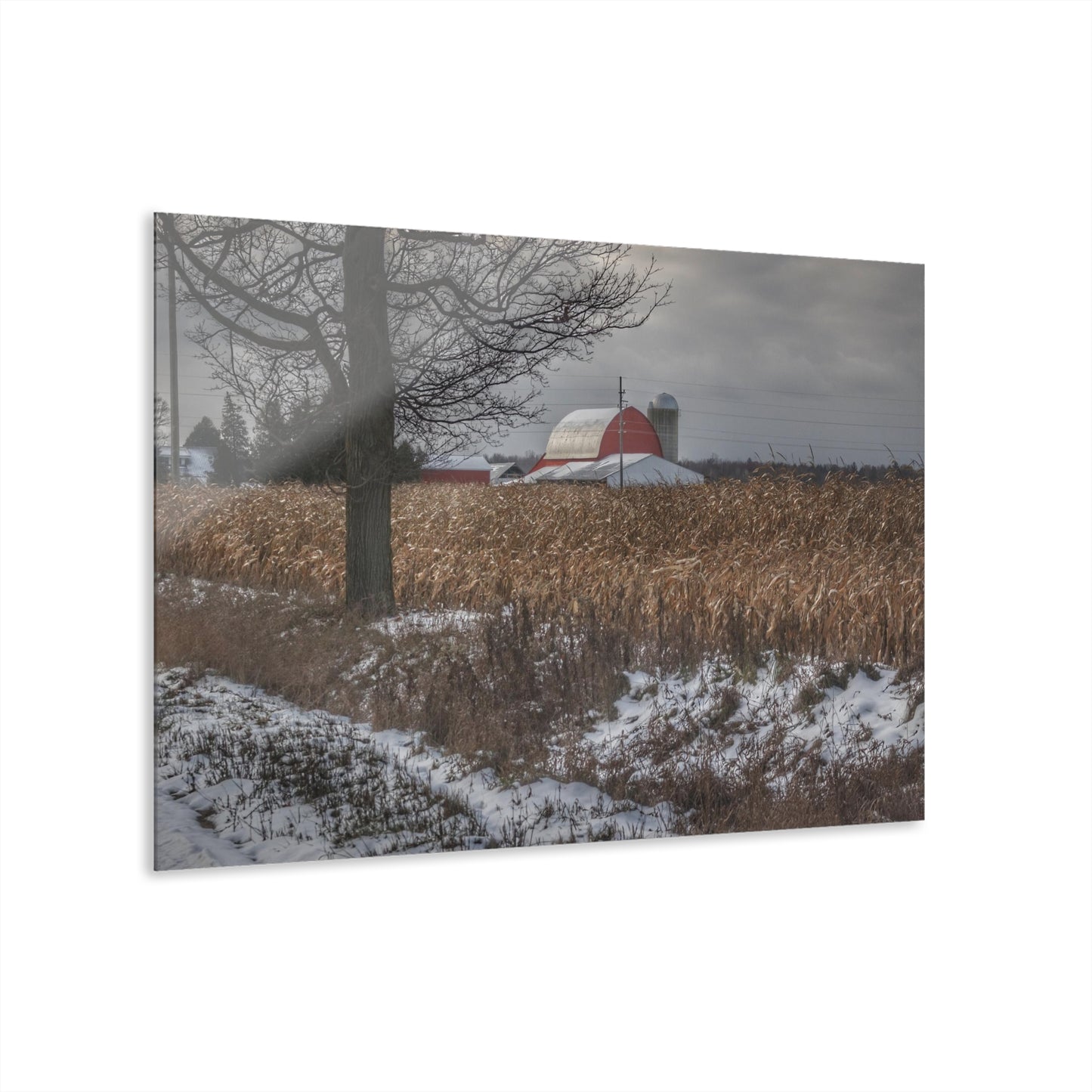 U R There Photography Edward Road Red Rustic Farmhouse Acrylic Wall Print
