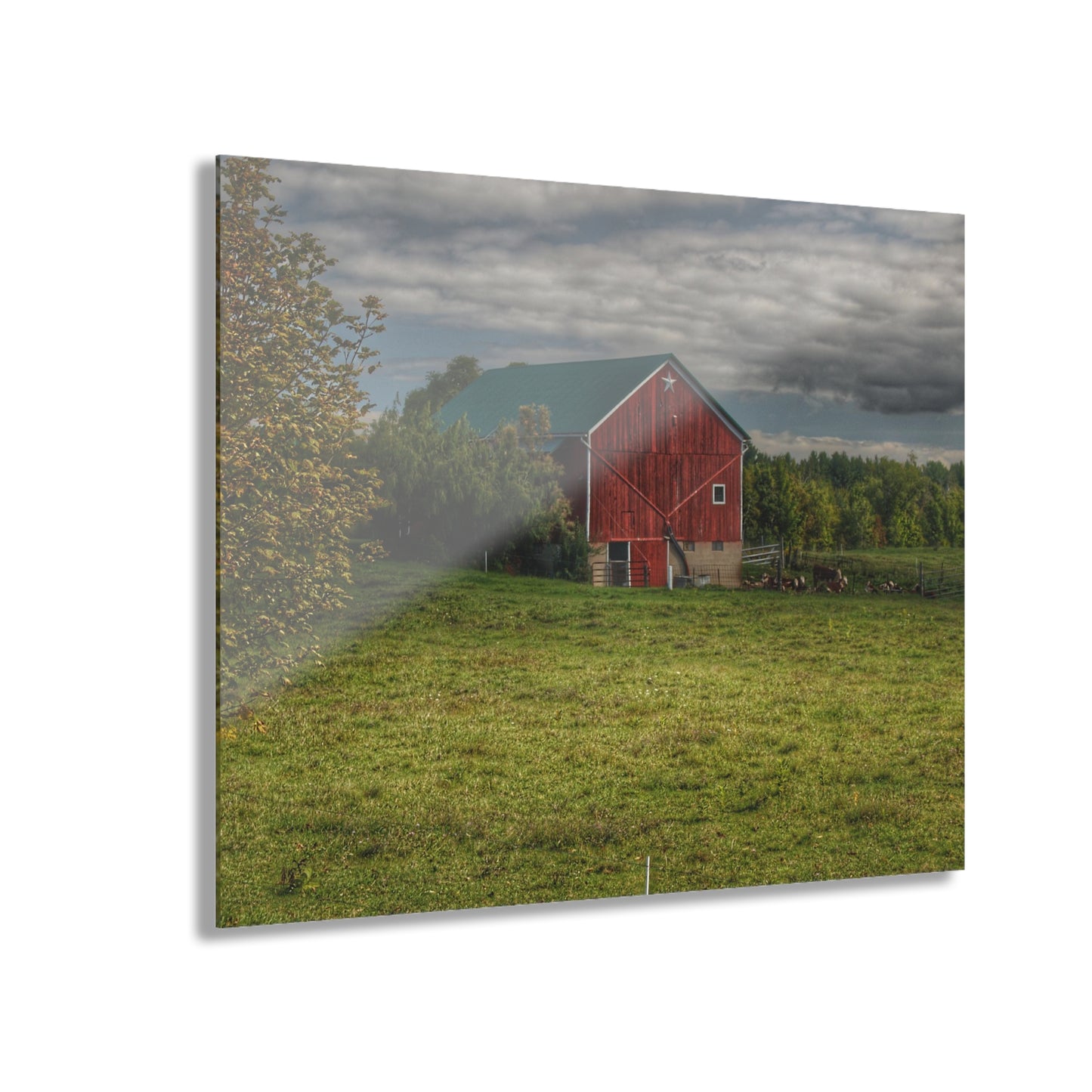 U R There Photography Kingston Plain Road Cow Barn Rustic Farmhouse Acrylic Wall Print