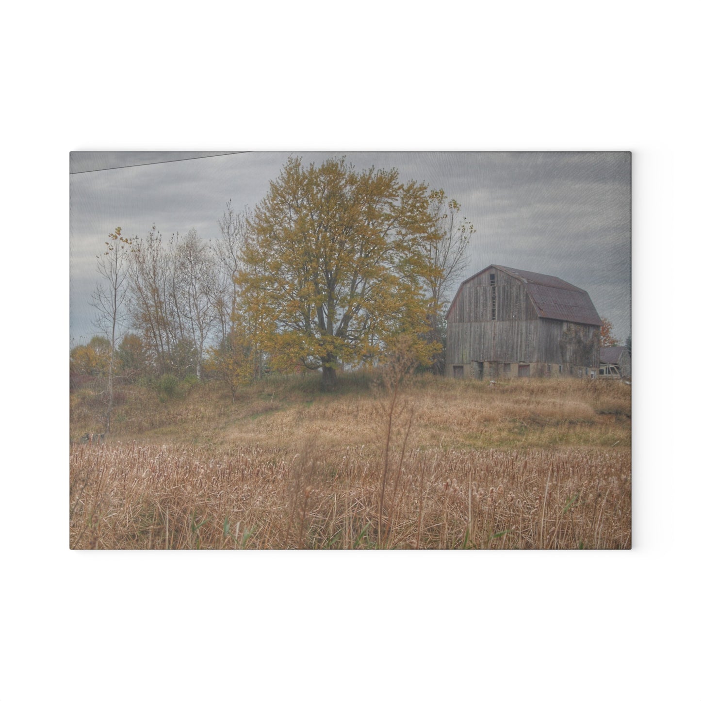 U R There Photography Swaffer Road Hilltop Grey Rustic Farmhouse Tempered-Glass Cutting Board