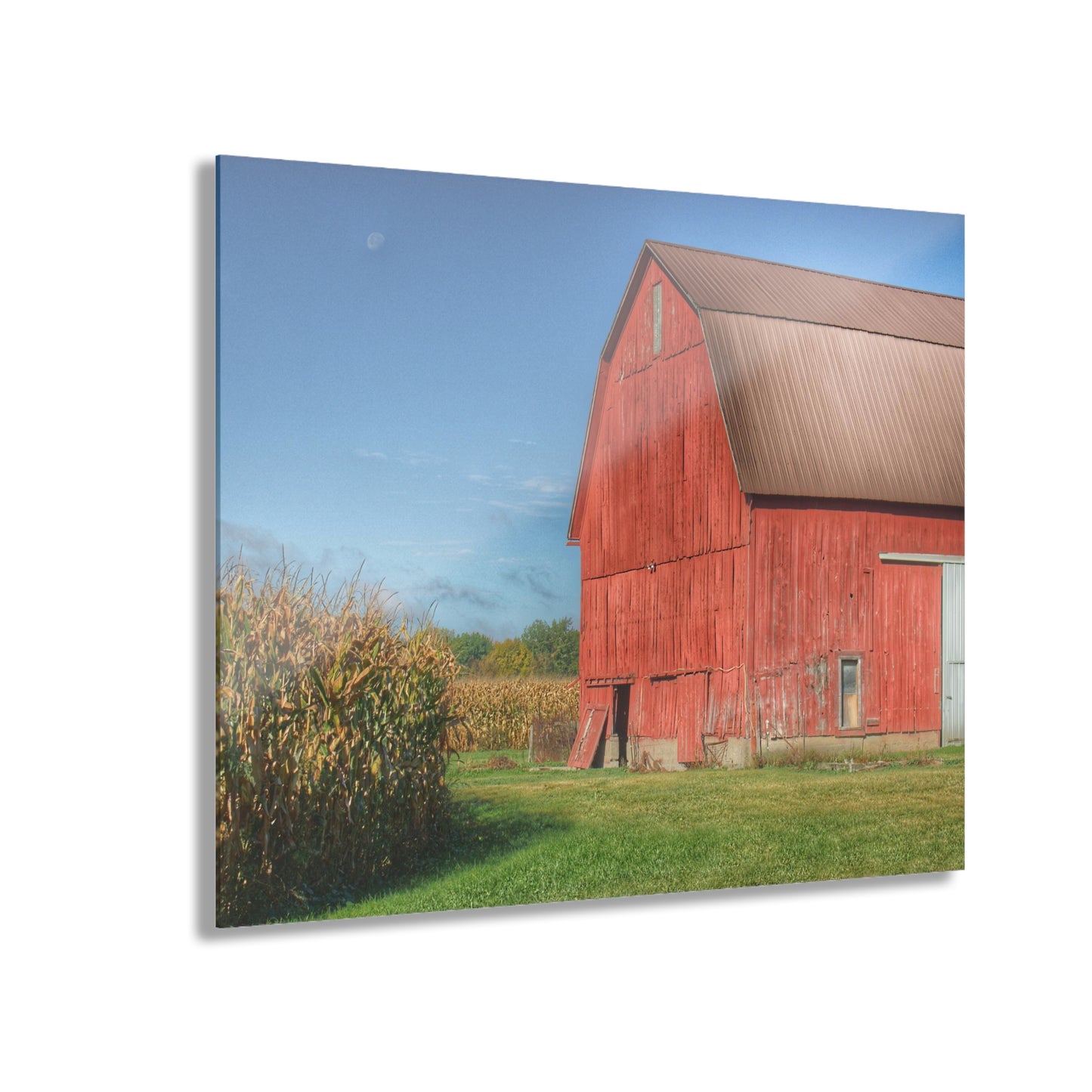 U R There Photography Fargo Road Red I Rustic Farmhouse Acrylic Wall Print