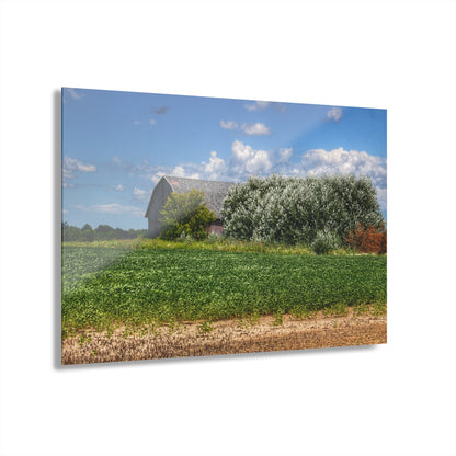 U R There Photography Lake Road Grey Rustic Farmhouse Acrylic Wall Print