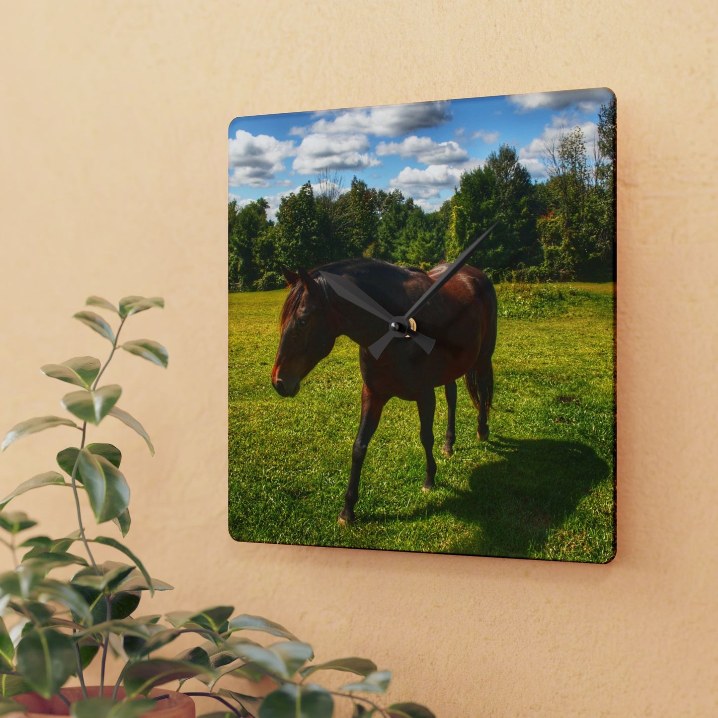 U R There Photography Brown Beauty II Rustic Farmhouse Acrylic Analog Wall Clock