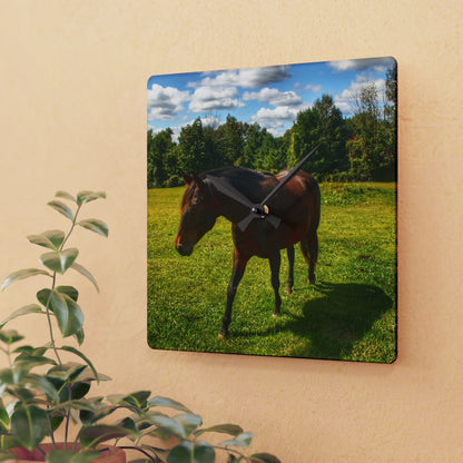 U R There Photography Brown Beauty II Rustic Farmhouse Acrylic Analog Wall Clock