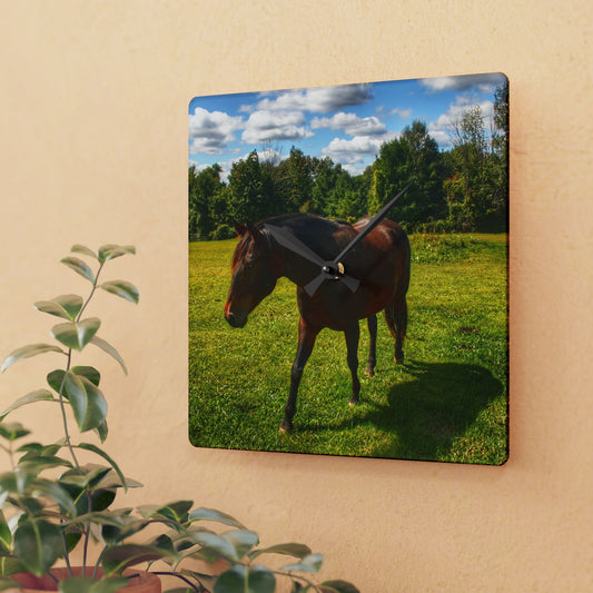 U R There Photography Brown Beauty II Rustic Farmhouse Acrylic Analog Wall Clock