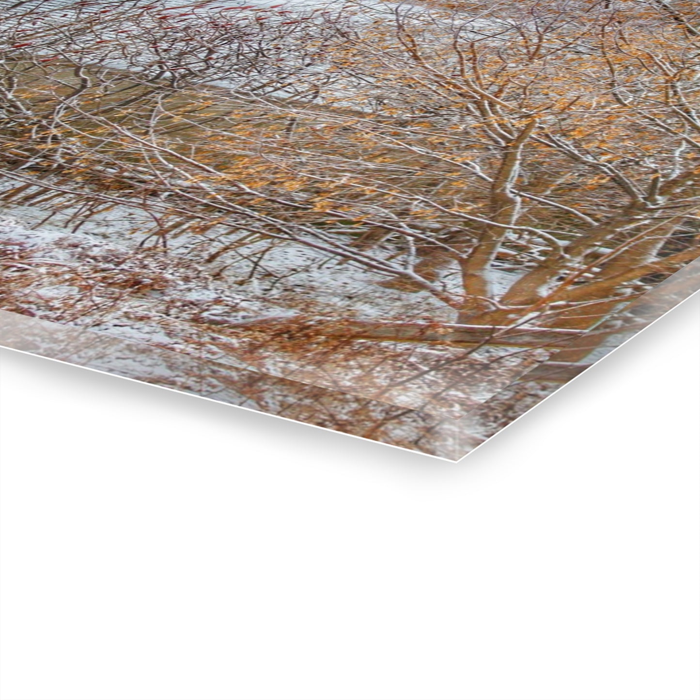 U R There Photography Dryden Road Hidden Winter Grey Rustic Farmhouse Acrylic Wall Print