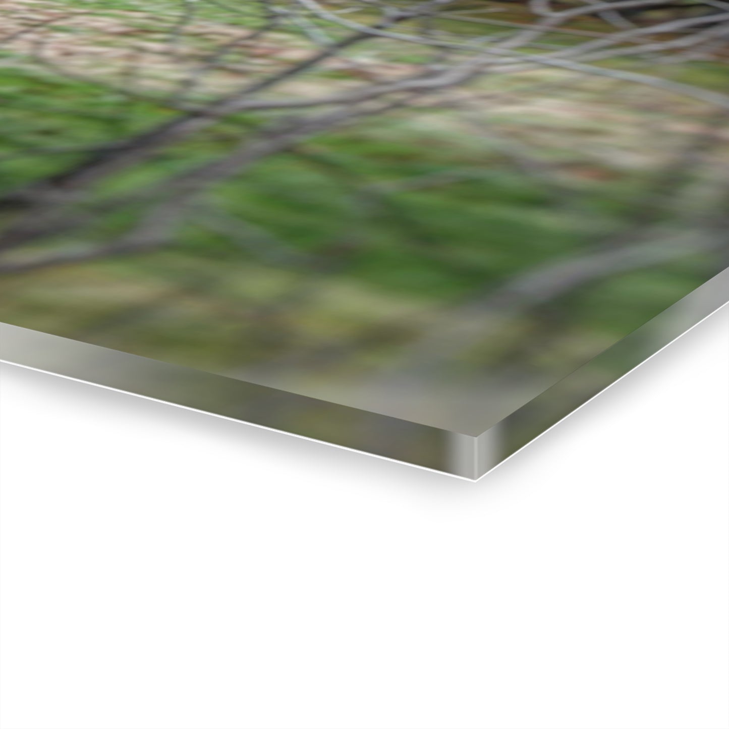 U R There Photography Hidden Capac Grey Rustic Farmhouse Acrylic Wall Print