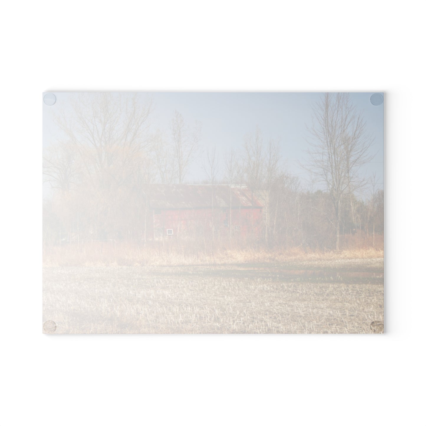 U R There Photography Hidden Scotch Settlement Red Rustic Farmhouse Tempered-Glass Cutting Board