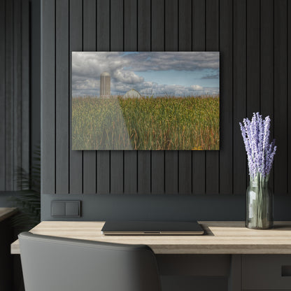 U R There Photography Overlooking a Cornfield Rustic Farmhouse Acrylic Wall Print