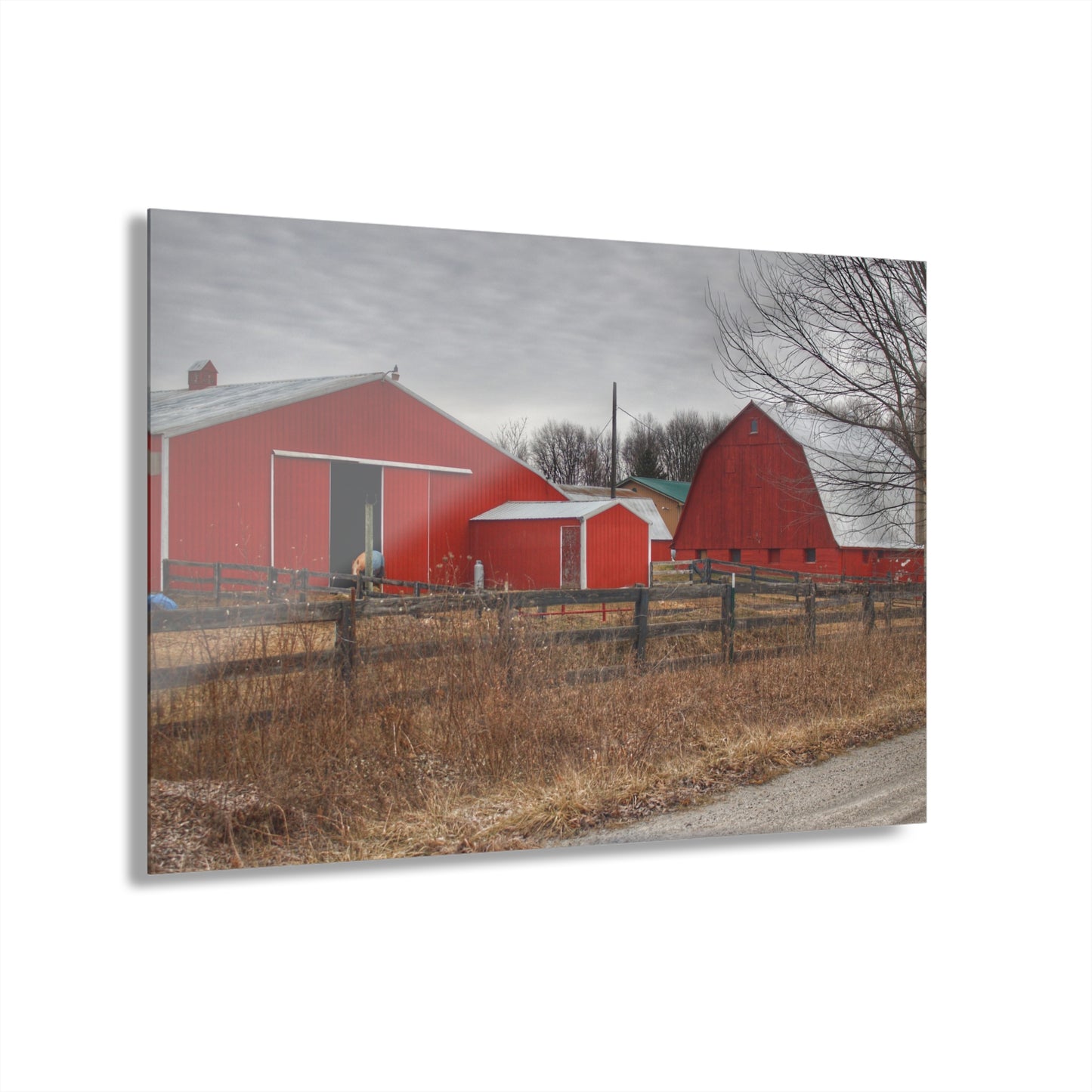 U R There Photography January Reds Rustic Farmhouse Acrylic Wall Print
