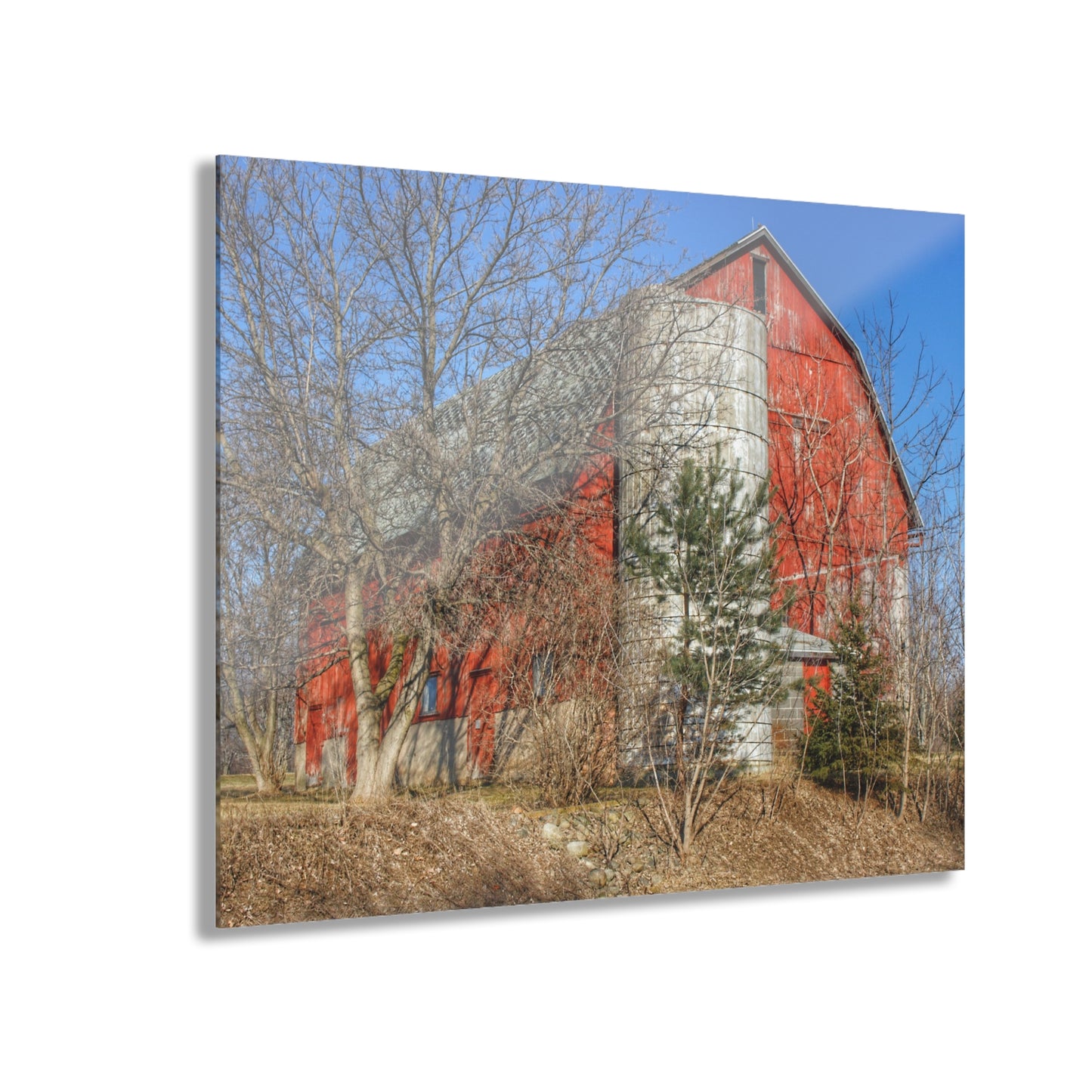 U R There Photography Van Dyke Red I Rustic Farmhouse Acrylic Wall Print