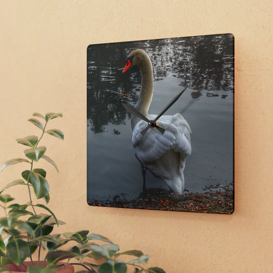 U R There Photography Swans of Duck Lake III Rustic Farmhouse Acrylic Analog Wall Clock