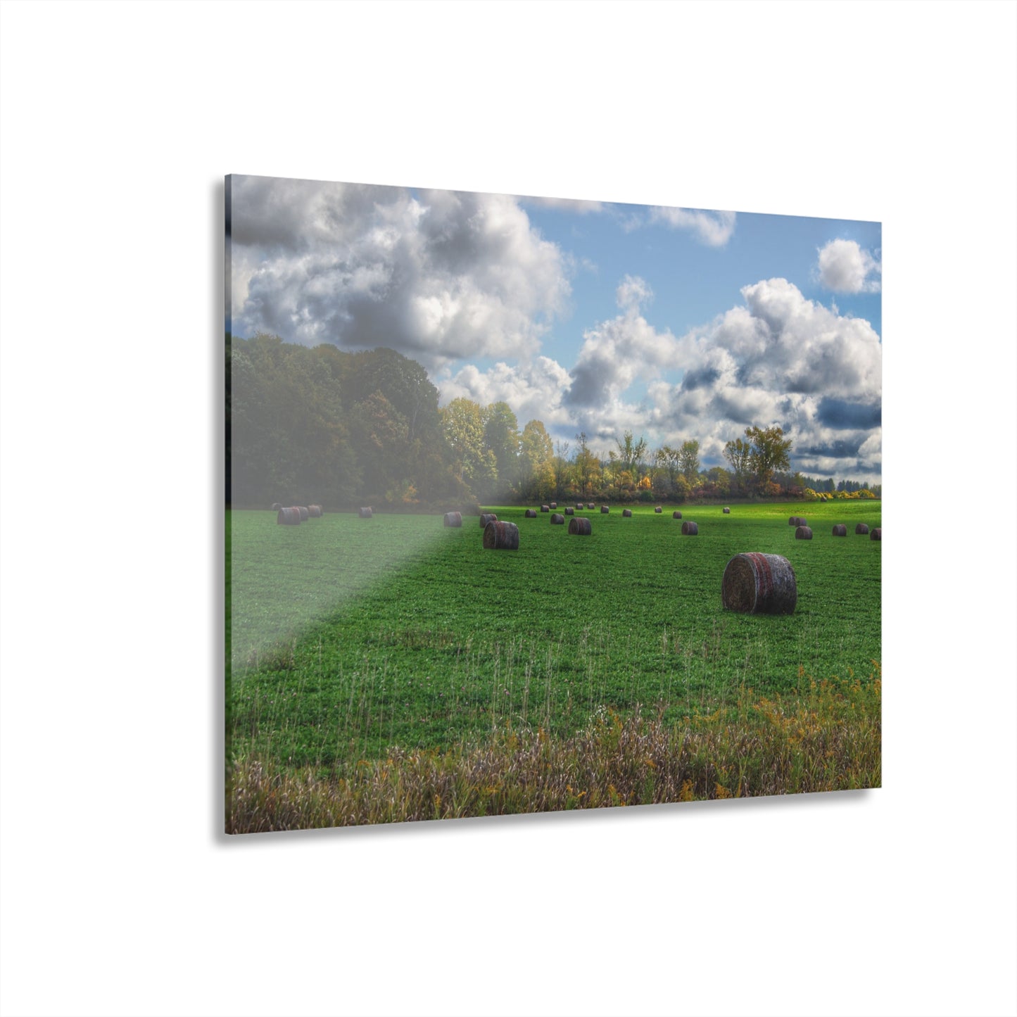 U R There Photography Haybale Heaven 2020 Rustic Farmhouse Acrylic Wall Print