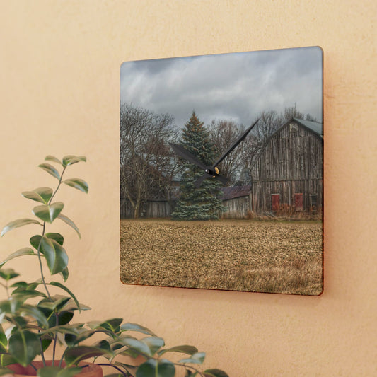 U R There Photography Frankenmuth Flint Street Farm Rustic Farmhouse Acrylic Analog Wall Clock