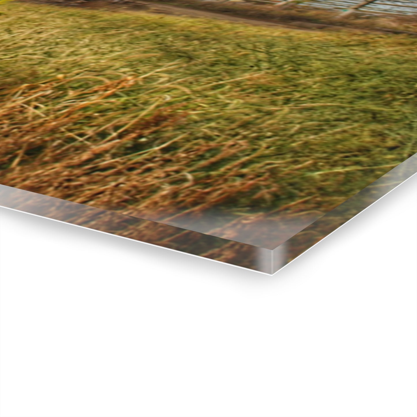 U R There Photography Hurds Corner Red I Rustic Farmhouse Acrylic Wall Print