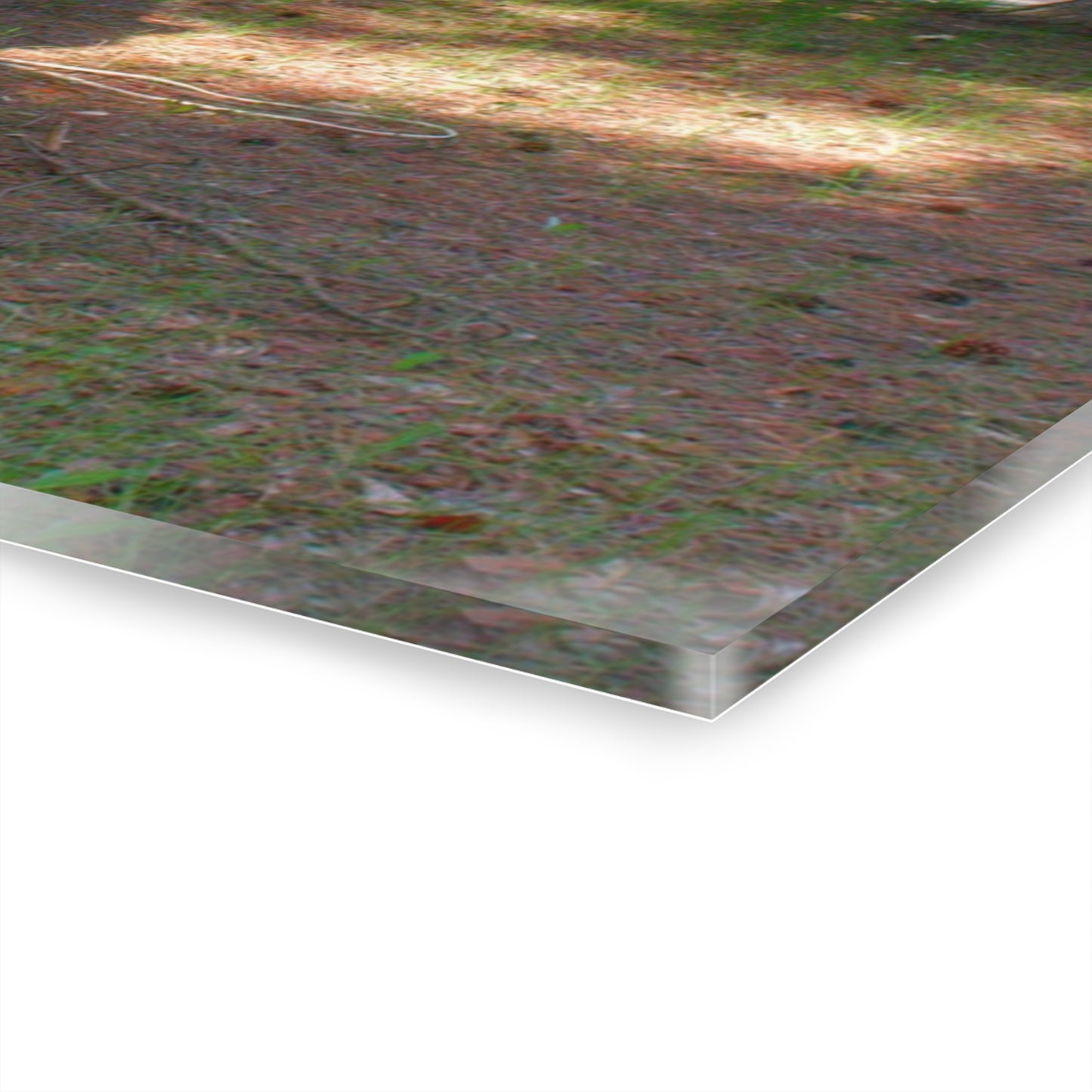 U R There Photography Hickory Place Yard Art I Rustic Farmhouse Acrylic Wall Print