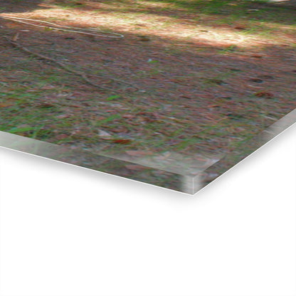 U R There Photography Hickory Place Yard Art I Rustic Farmhouse Acrylic Wall Print