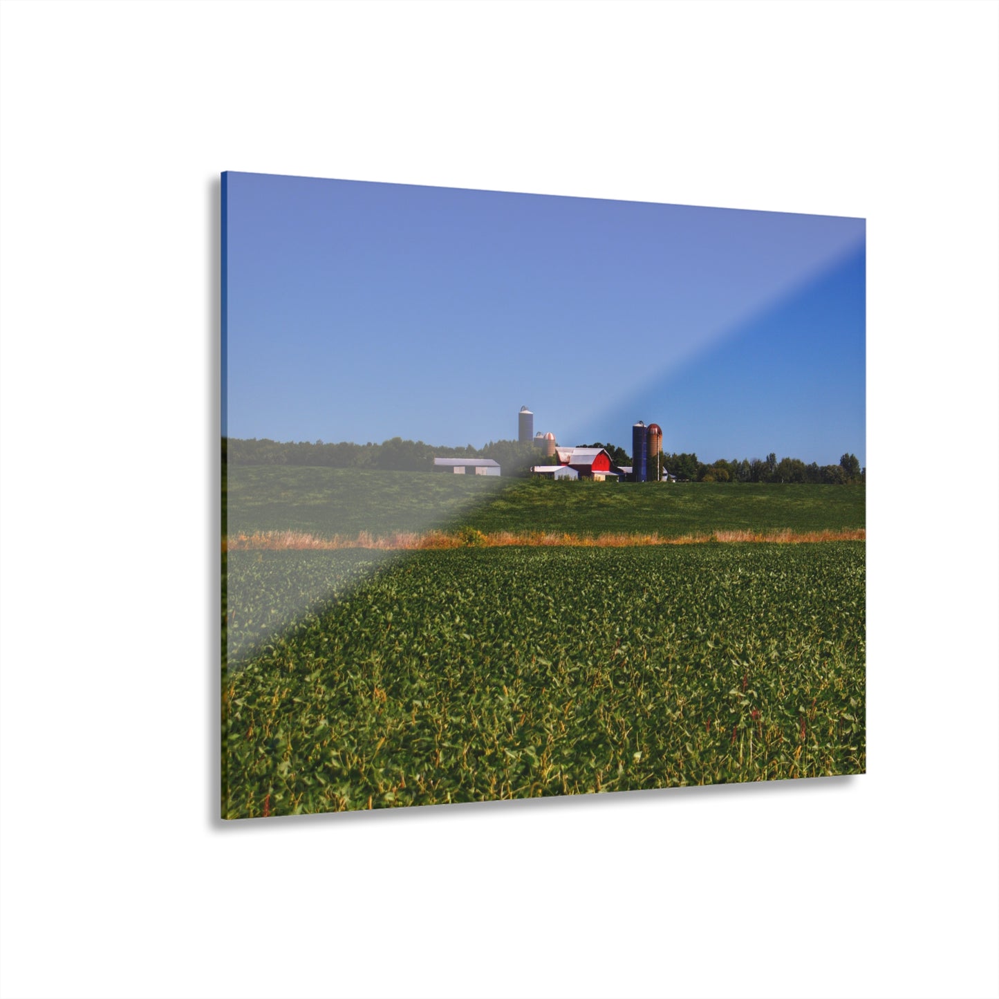 U R There Photography Otter Lake Road Farm Across the Field Rustic Farmhouse Acrylic Wall Print