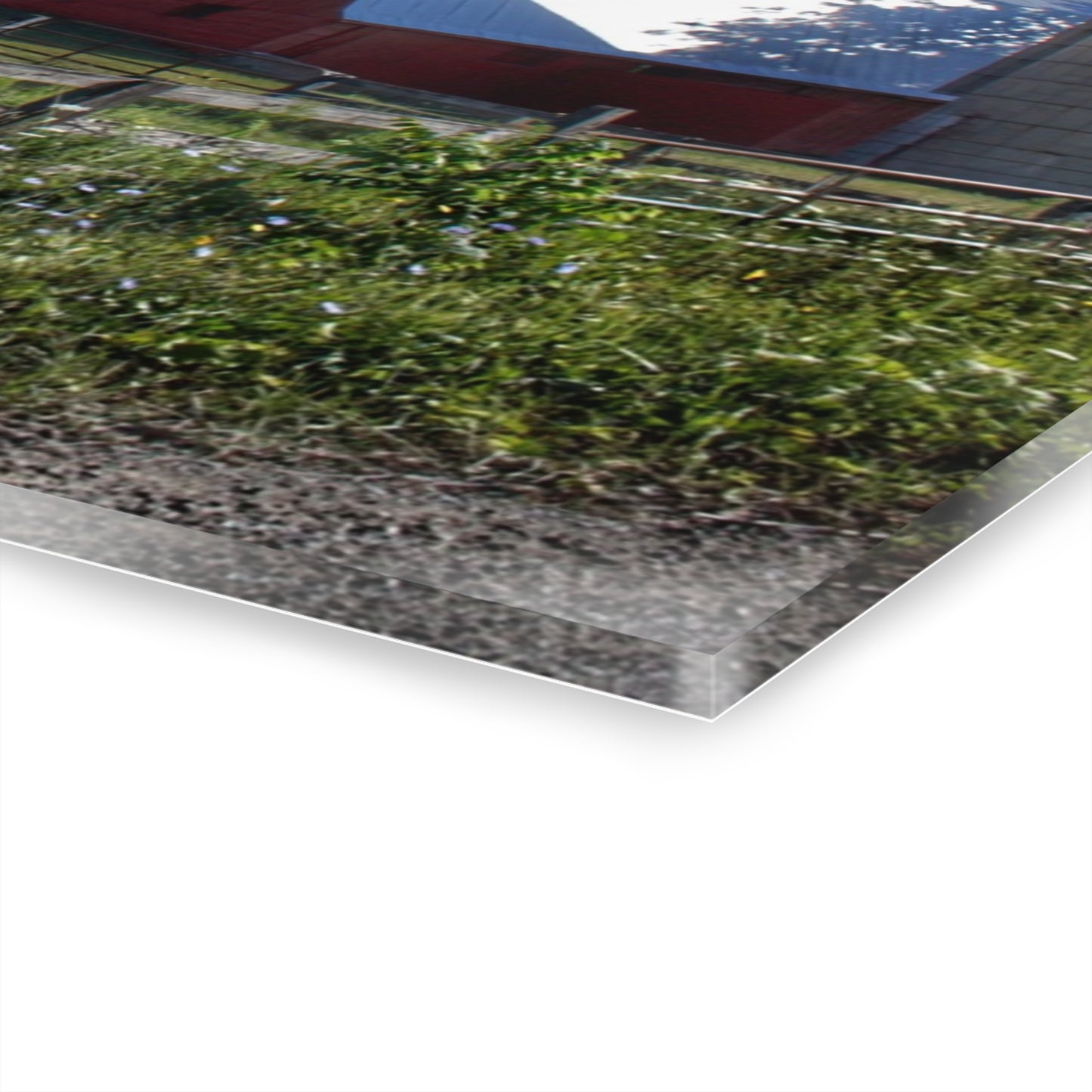 U R There Photography Mount Morris Road Farm and Horse Rustic Farmhouse Acrylic Wall Print