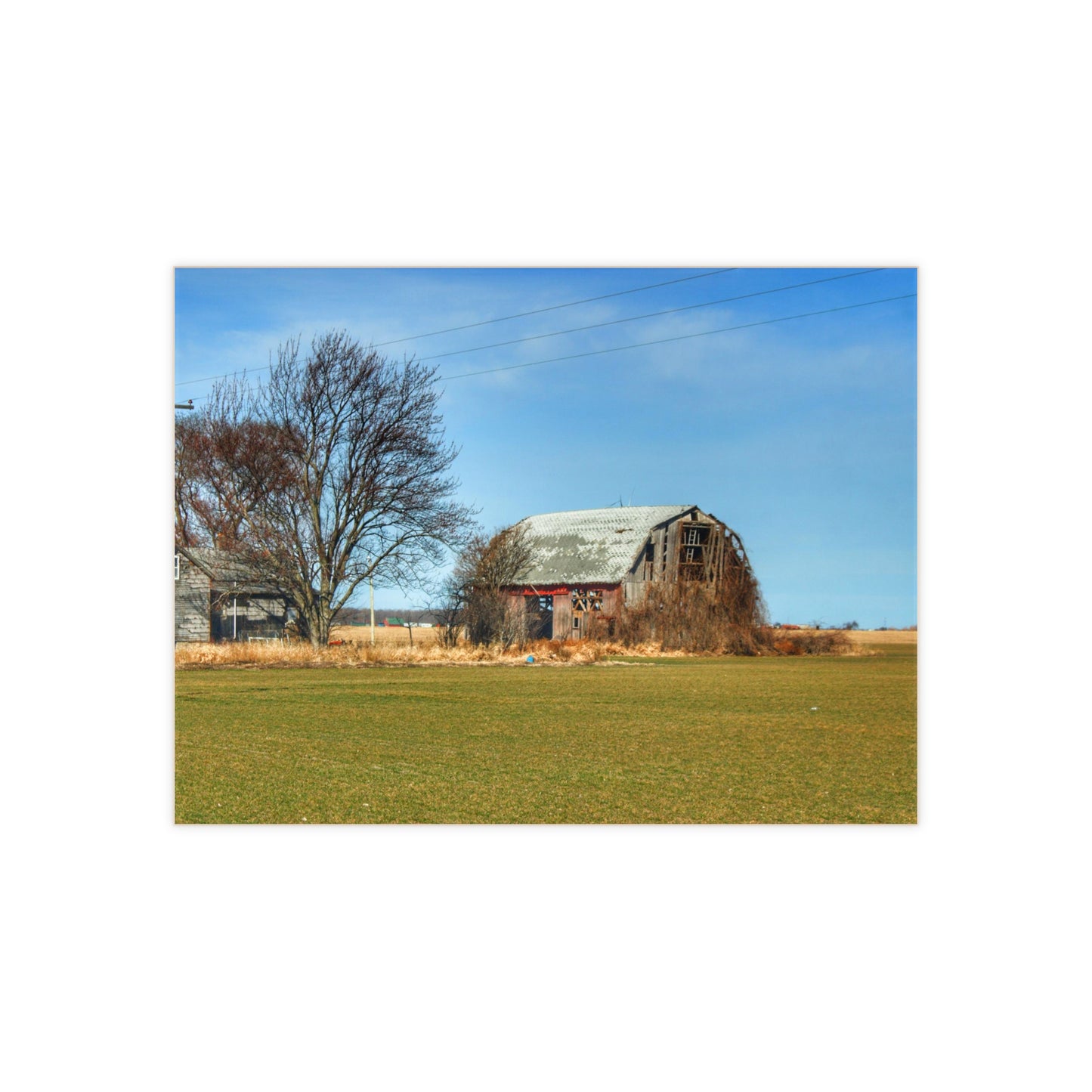 U R There Photography Bay City - Forestville Forgotten Grey Rustic Farmhouse Decorative Ceramic Tile