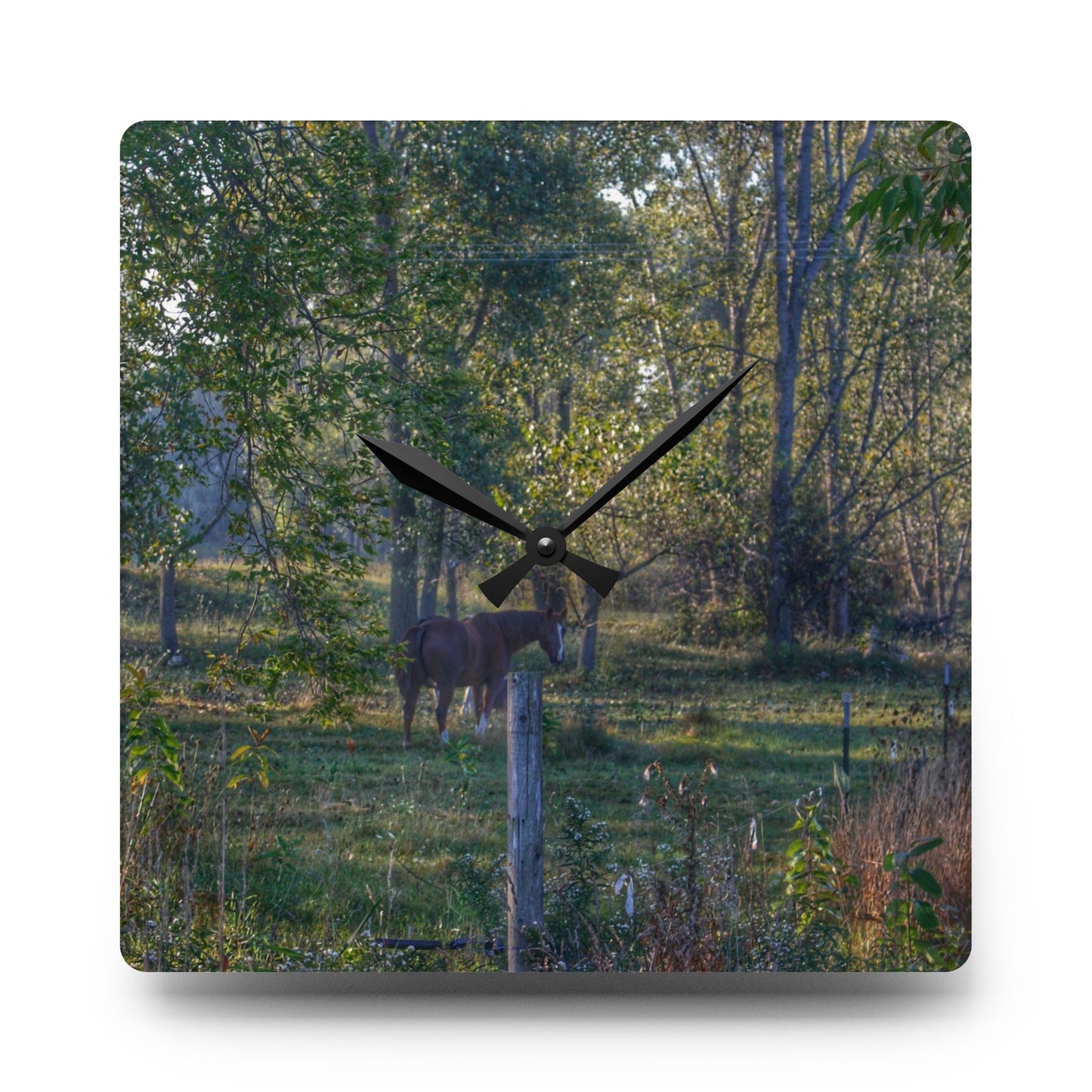 U R There Photography Chestnut Horse Among the Trees Rustic Farmhouse Acrylic Analog Wall Clock