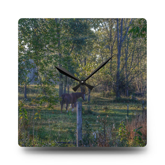 Chestnut Horse Among the Trees Rustic Farmhouse Acrylic Analog Wall Clock 10.75'' × 10.75'' (Square)