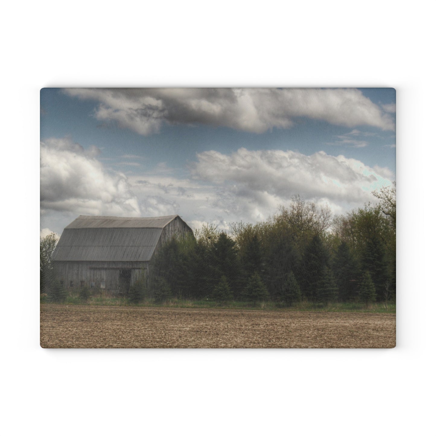 U R There Photography Sandusky Grey in the Pines Rustic Farmhouse Tempered-Glass Cutting Board