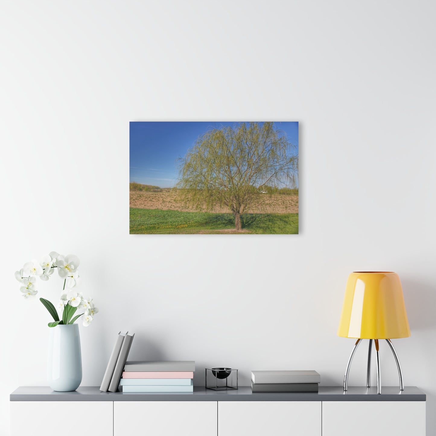 U R There Photography Spring Farm Willow Tree Rustic Farmhouse Acrylic Wall Print